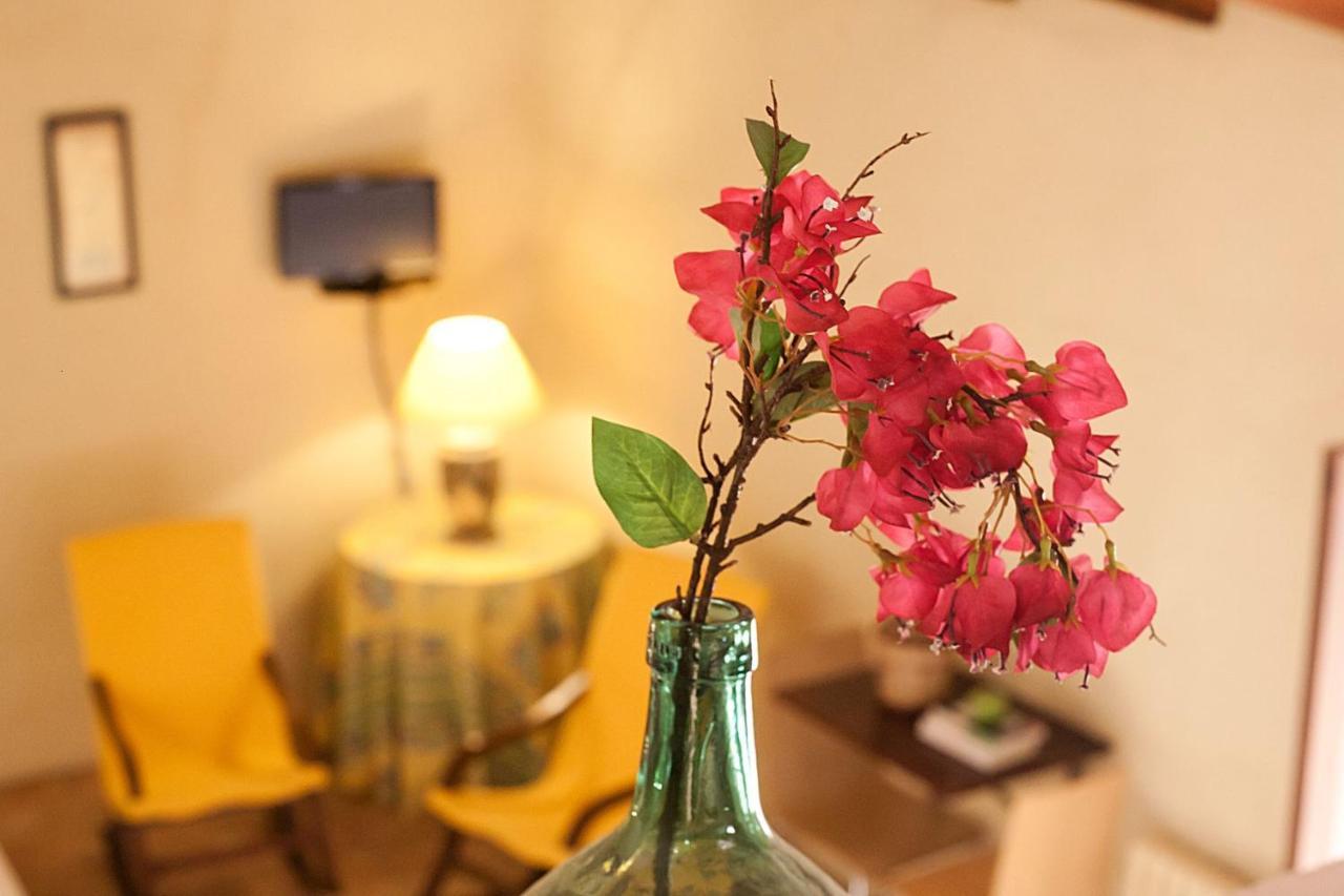 Finca Son Sureda Agroturismo 马纳科尔 外观 照片